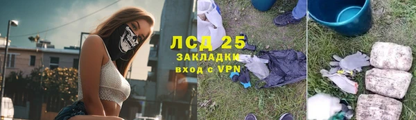 винт Алзамай